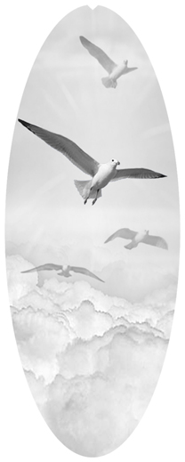 DNSA18-101-WT Journey Home Clouds Birds White